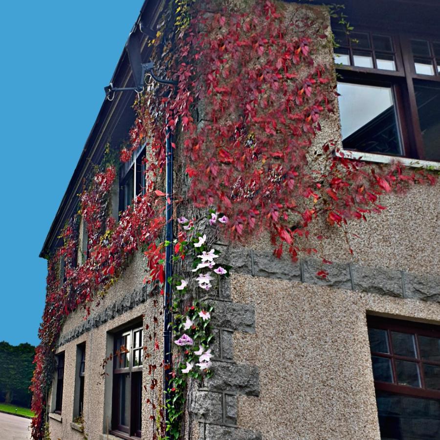 Bogenraith House Hotel บันเคอรี ภายนอก รูปภาพ